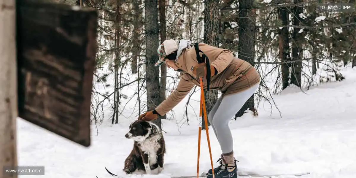 💻 多屏同看,精彩永不卡顿!